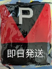 平沢進 核P-MODEL unZIP/ 非コード人のアコード 東京限定Tシャツ M