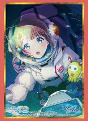 【新品】サプライ ブシロード スリーブコレクション ハイグレード Vol.5027 プロジェクトセカイ カラフルステージ! feat. 初音ミク『望月穂波』Part.2