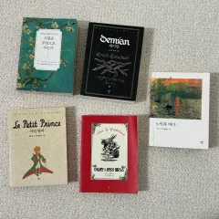 ミニブック まとめ デミアン 老人と海 星の王子さま アリス 人はなんのために生きるのか 本