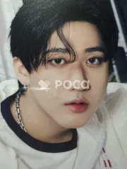 straykids チャンビン スキズ Stray Kids World Tour dominATE : celebrATE PHOTOCARD HOLDER