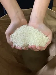 大特価！はなまる農園令和7年度産にじの煌めき　玄米３０キロのサムネイル