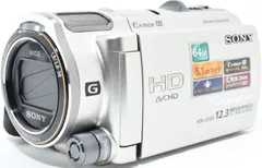 2026年最新】hdr-cx560vの人気アイテム - メルカリ