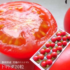 【送料無料】究極のミニトマト フルーツトマト 静岡県マスクメロン生産者が育てた [トマトダ20粒]