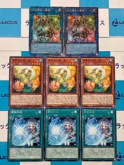 遊戯王 ブレイジングドミニオン　霊使い　デッキパーツ・関連セット