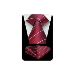 [HISDERN] ネクタイ セット メンズ 赤 ネクタイ ポケットチーフ ストライプ シルク ブランド 礼服 紳士用 卒業式 成人式 父の日 高級 HC-02