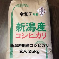 農家直送！新潟コシヒカリ 玄米20kg - メルカリ