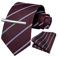 [HISDERN] フォーマル ネクタイ チーフ セット メンズ ネイビー チェック柄 ネクタイ タイピン 3点セット ビジネス 就活 正式 二次会 プレゼント A3-02