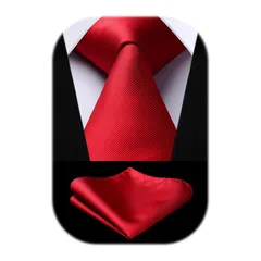 [HISDERN] ビジネス ネクタイ チーフ セット メンズ 赤 無地 ブランド 結婚式 就活 入学式 卒業式 プレゼント HL-03