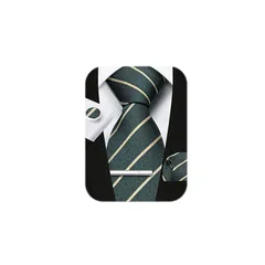 [HISDERN] ネクタイ メンズ セット ビジネス: グリーン ネクタイ ブランド ストライプ チーフ シルク 通販 就活 成人式 卒業式 入学式A4-02