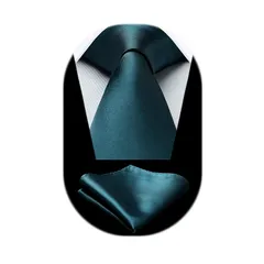 [HISDERN] 無地 ネクタイ メンズ ネクタイ チーフ セット グリーン シルク ブランド ビジネス用 卒業式 就活 礼服 紳士 HL-01