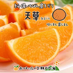 天草 2kg 訳あり品 サイズ込 愛媛 中島産 紅まどんなの親品種 みかん 柑橘 希望の島