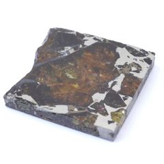 パラサイト隕石 スライス 56.2mm 透過美 オリビン結晶 防錆処理済 