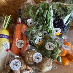 【農薬不使用】冬野菜おまかせセット100サイズ