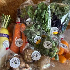 【農薬不使用】冬野菜おまかせセット80サイズ