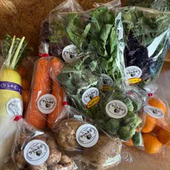 【農薬不使用】冬野菜おまかせセット60サイズ