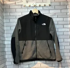 THE NORTH FACE ノースフェイス フリース NAW72450 グレー Sサイズ アウトドア