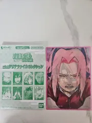 NARUTO -ナルト- さくら ミニ クリア ファイル