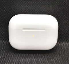 エアポッズプロ第1世代•A2190充電ケースのみ②