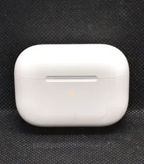 エアポッズプロ第1世代•A2190充電ケースのみ③