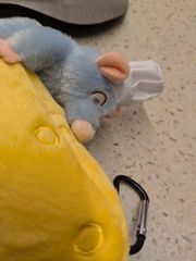 ☆DISNEY STORE 新品タグ付 お顔厳選 ギフト プレゼント - メルカリ