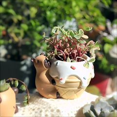 大型植木鉢 Capi カピ キューブポット スムース 50cm 大型プランター