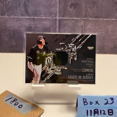 Item thumbnail for item e8d15a5c-ae75-40df-8e2d-ee979464fc70