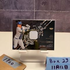 Item thumbnail for item 6c6d64cc-4ca2-4500-8bf7-ecf8875a9ce7