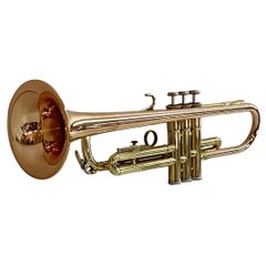 Item thumbnail for item 510d530a-d173-4258-b702-2c0ee84af1bb