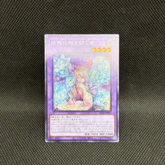 2026年最新】シャドーボックスフェアリーの人気アイテム - メルカリ