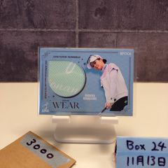 Item thumbnail for item 76ccd5ad-d21d-4d22-acea-a56a9b0d9b2a