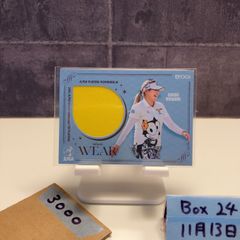 Item thumbnail for item cd2548c7-0003-40bd-9781-780b91449527