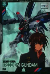 ガンダムアーセナルベース ブースターパックガンダムSEED(BP01) フリーダムガンダム(Pレア) 9