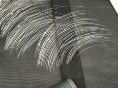 夏着物 絽 付け下げ訪問着 正絹 芽柳・枝垂柳 イ6969 - メルカリ