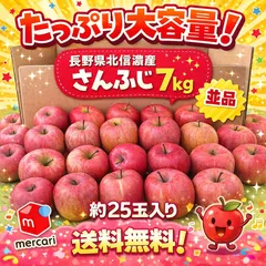 完熟ふじ約7kg🍎長野県北信濃産🍎サンフジ🍎全国送料無料🚚りんご