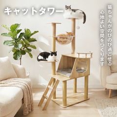 4/20削除予定 NECOTA セットカーサ 心地良い猫の家 キャットタワー 4