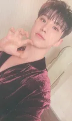 SEVENTEEN FML HOSHI トレーディングカード