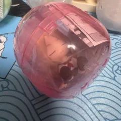 肩ズン 夏目友人帳 (レイコ)