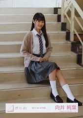 2026年最新】向井純葉 生写真 夏の近道の人気アイテム - メルカリ