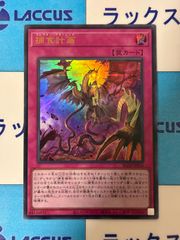 デュエルマスターズ/デュエマ 頂上連結ロッド・ゾージア5th STR4/STR5