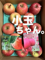 小玉りんご　サンふじ　訳あり　青森県産