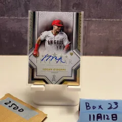 2026年最新】logan o hoppeの人気アイテム - メルカリ