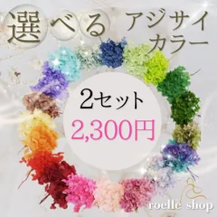 選べるアジサイ (あじさい・紫陽花) プリザーブドフラワー 花材 多種多色展開 セレクト素材 セット まとめ買い対応 ハンドメイド アレンジ 制作 材料 スワッグ リース ブーケ ハーバリウム レジン　2点セット2300円 40g