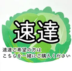 お届けを速達へ変更