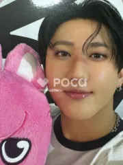 straykids チャンビン スキズ World Tour dominATE : celebrATE 購入特典