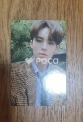 Seventeen ミンギュ An Ode The Poet ver.