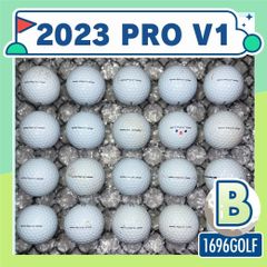 ロストボール タイトリスト PRO V1X Bランク 91 20球 おまけ付 - メルカリ