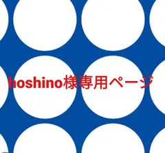 hoshino様専用ページです。