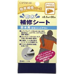 Item thumbnail for item f303153d-d70c-4691-b3df-d5540f27a765