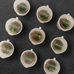 2026年最新】FSQ ビカクシダの人気アイテム - メルカリ