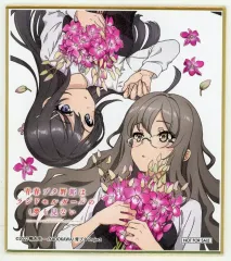 【中古】紙製品 [単品] 桜島麻衣＆双葉理央 描き下ろし麻衣＆双葉ミニ色紙 「Blu-ray/DVD 青春ブタ野郎はランドセルガールの夢を見ない」 楽天ブックスオリジナル店舗特典